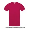 T-Shirt B&C E190 z dużym nadrukiem z tyłu