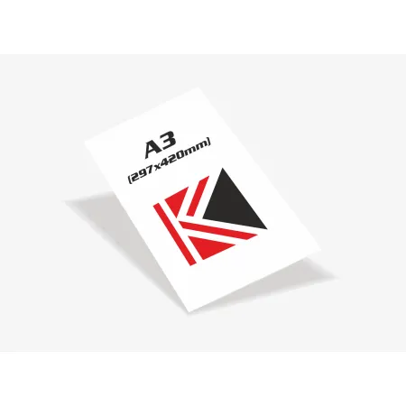 Druk format A3 (297x420 mm) papier 170g